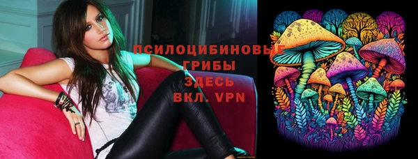 шишки Волоколамск