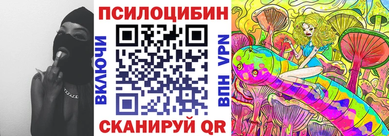 Псилоцибиновые грибы Psilocybine cubensis  Зеленокумск 